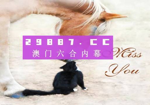 澳门4949今晚开奖;-全面释义解释落实